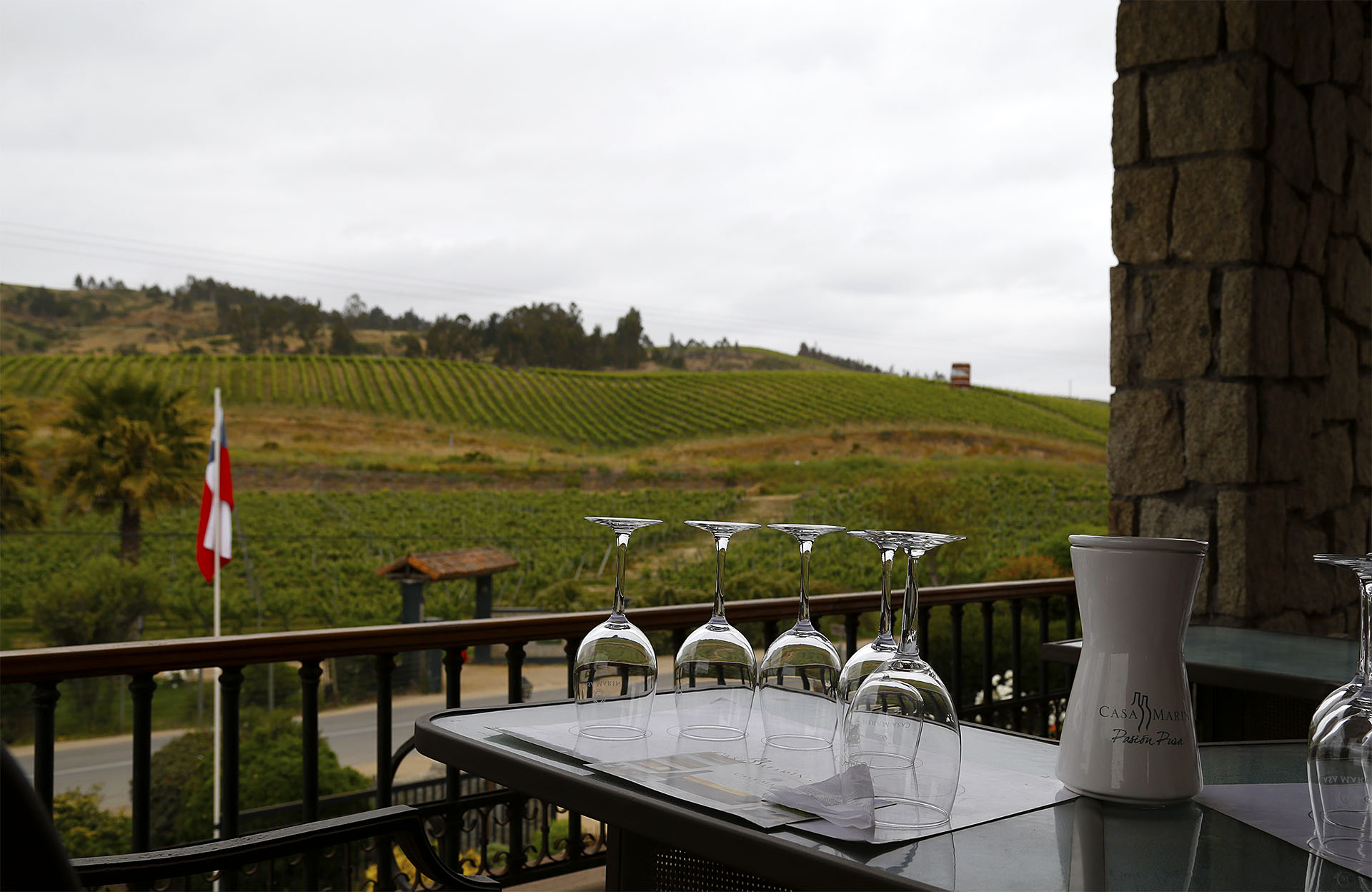Terraza con vista al viñedo